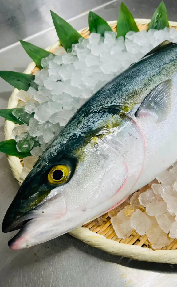 氷の上に置かれた新鮮なブリ