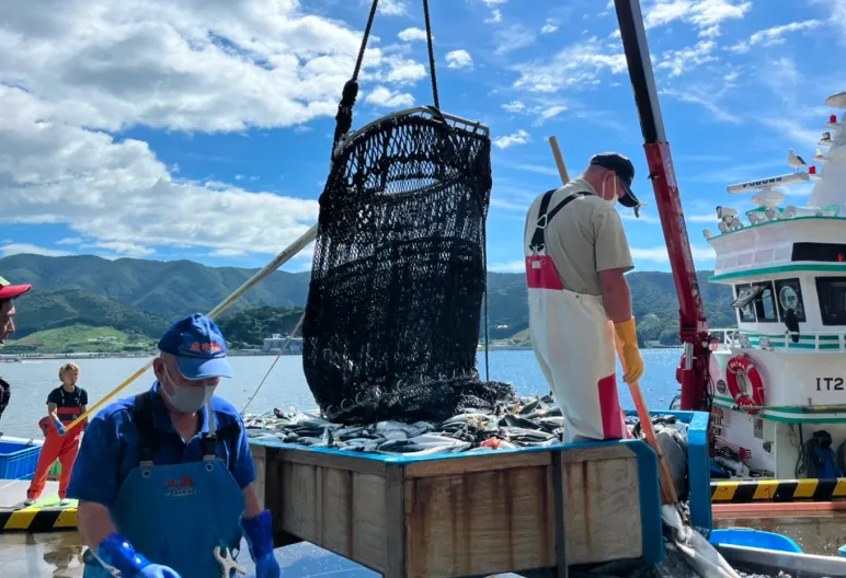 港で行われる水揚げ作業の様子