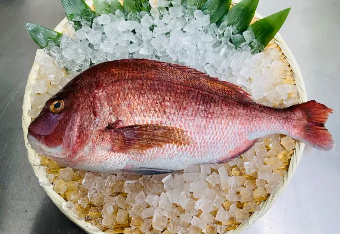 氷を敷いたざるに並べた真鯛